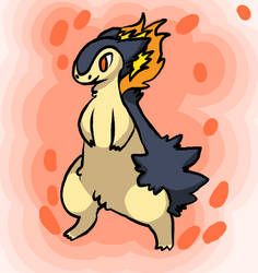 Typhlosion