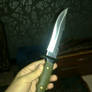 Combat Knife