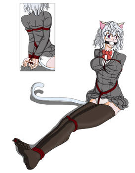 Neferpitou Commission