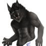 YCH werewolf #3