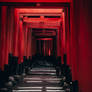 Kyoto - Fushimi Inari IV