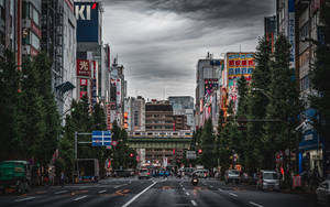 Akihabara - Avenue