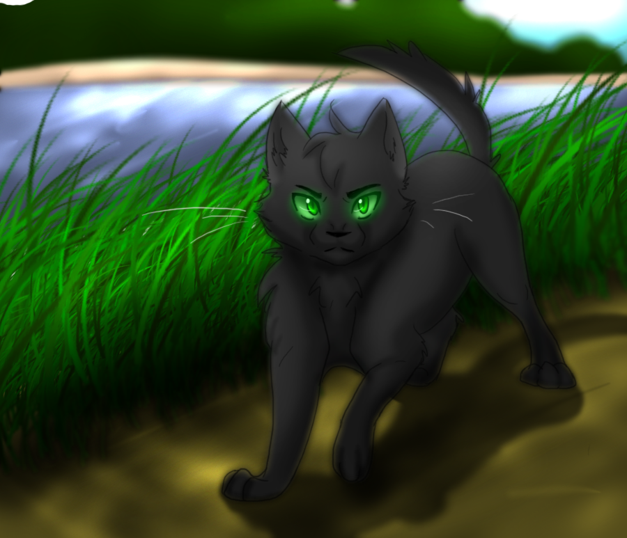 Hollyleaf