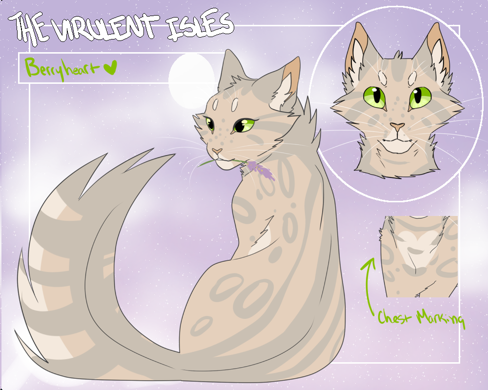 Medicine Cat Herbs-Warrior Cats Diagram