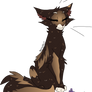 OS|Mothpelt Chibi