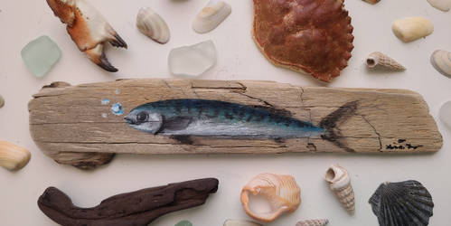 Driftwood Mackerel  by CreatureArtistNmore
