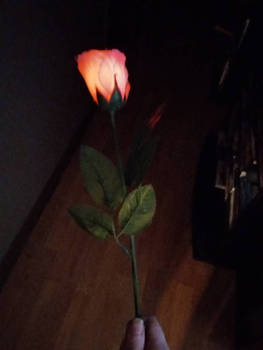Lana Rose Wand