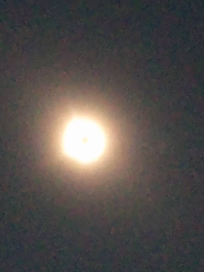 Solar Eclipse