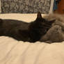 Cuddle Time