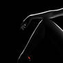 Graphic Monochrome 081326