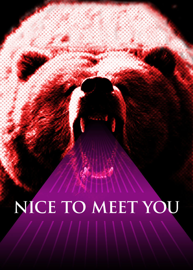 nice to meet you