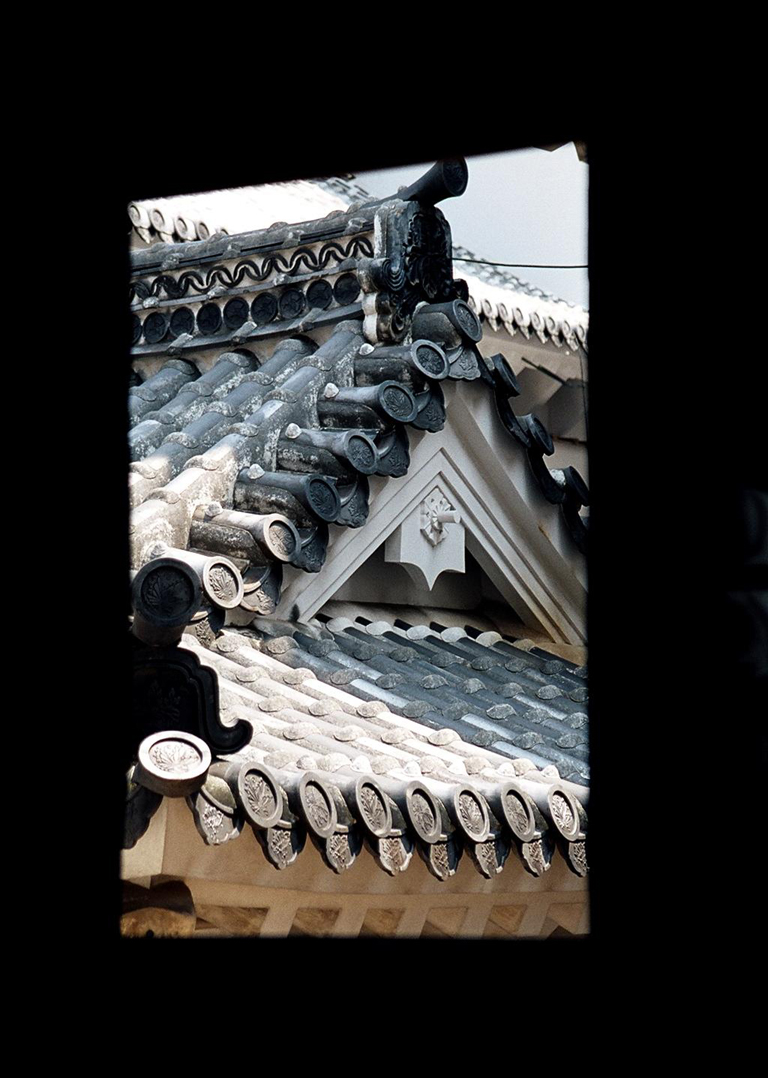 A View of the Samurai Castle