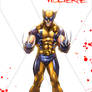 Wolverine colors