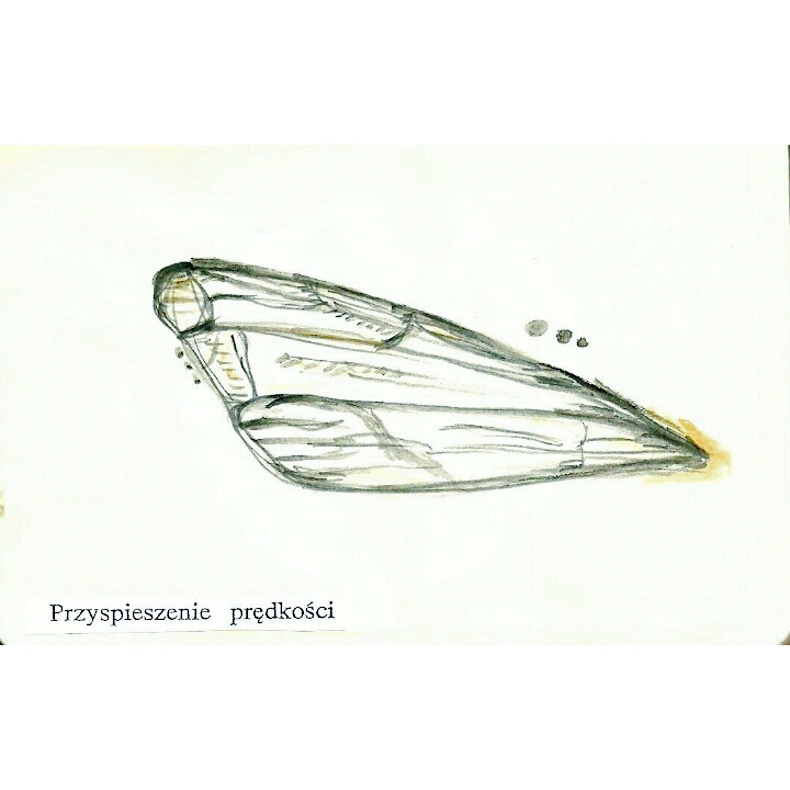 przyspieszenie predkosci