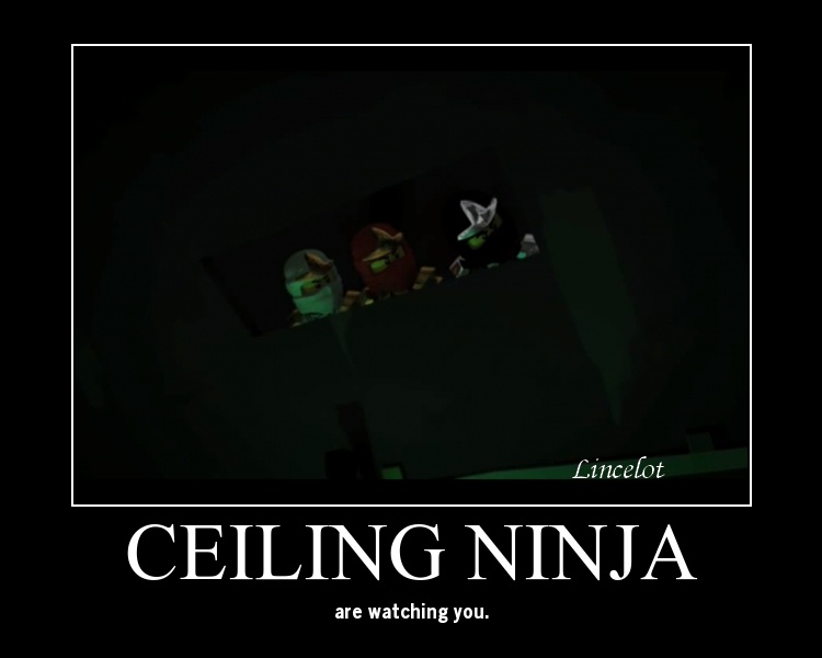 Ceiling Ninja
