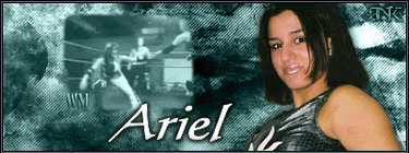 Ariel Animated Signature