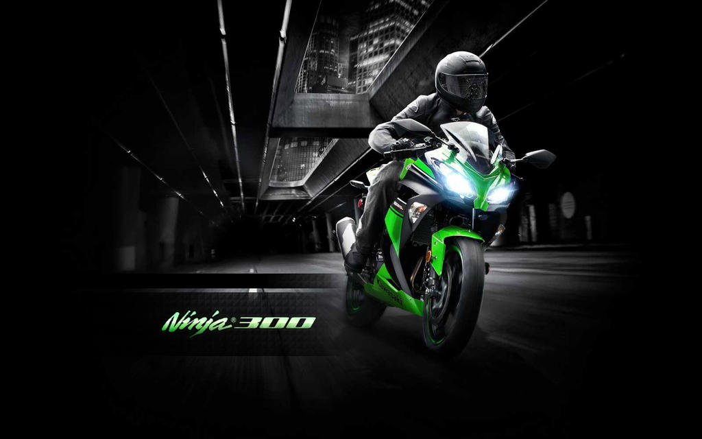 Ninja 300 Wallpaper - (Branded / Large Logo)