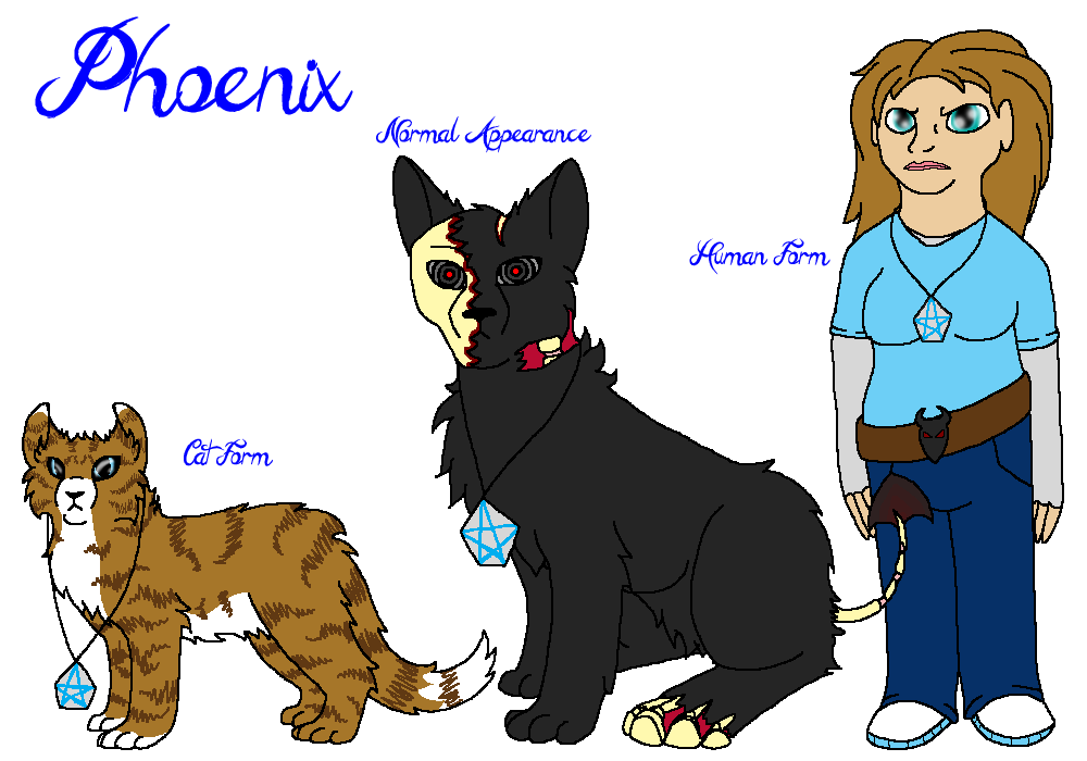 -Phoenix Reference Sheet- by WaterPhoenixWarrior on DeviantArt