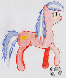 FC Arsenal Pony