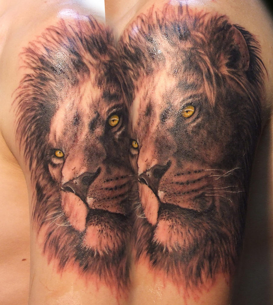 lion