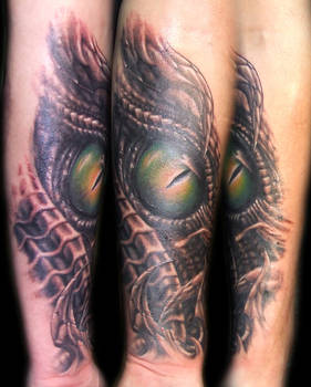 biomech eye