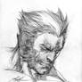Wolverine Head sketch