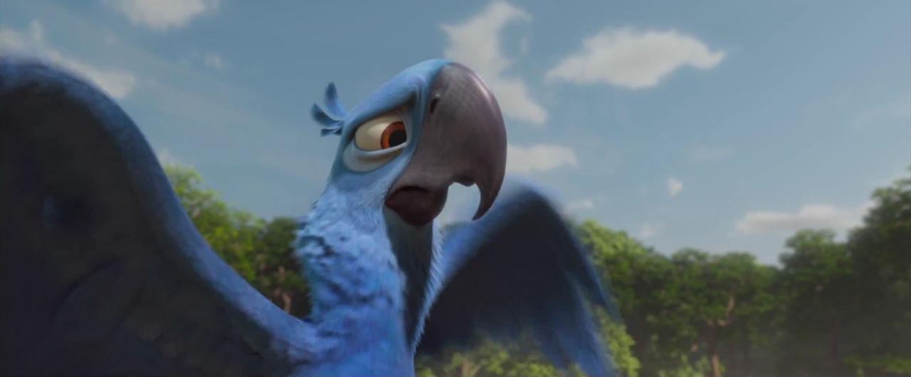 What S With Blu Rio By Austinsptd1996 On Deviantart What S With Blu Rio By Austinsptd1996 On Deviantart