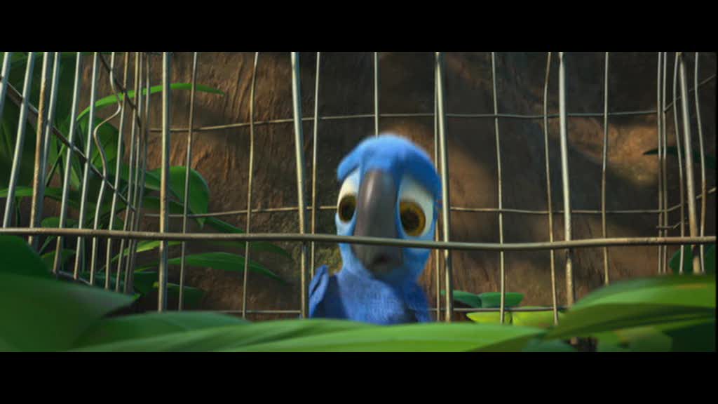 Blu Rio Render Deviantart What's With Blu? (Rio) by AustinSPTD1996 on DeviantArt