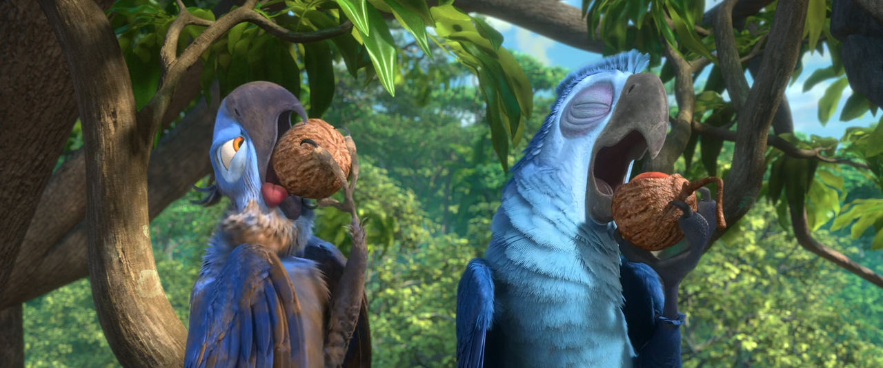 Blu Rio Screencaps What's With Blu? (Rio) by AustinSPTD1996 on DeviantArt