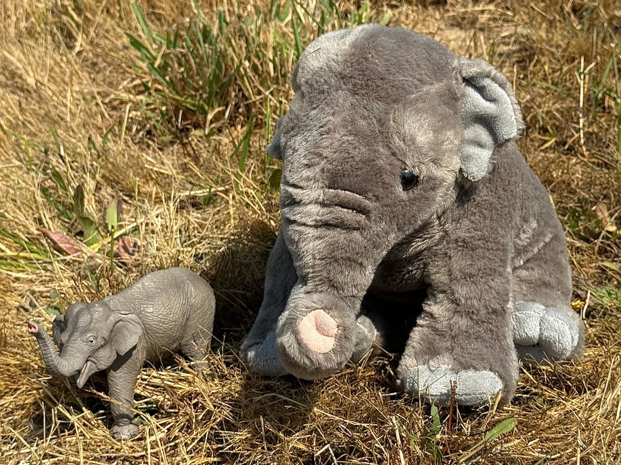 World Elephant Day 2025 by AustinSPTD1996 on DeviantArt