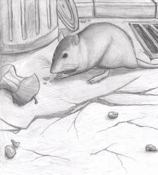 A mouse eating an apple