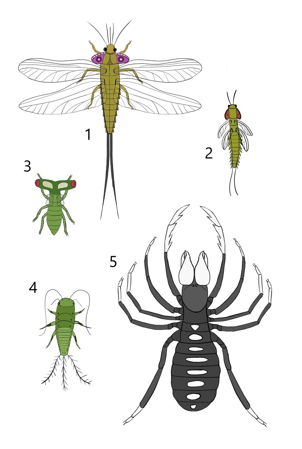The great thriving: Anisian insects and arachnid by MrBlueShark on ...