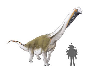 Europasaurus