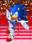 Happy 23rd Birthday, Sonic!!!
