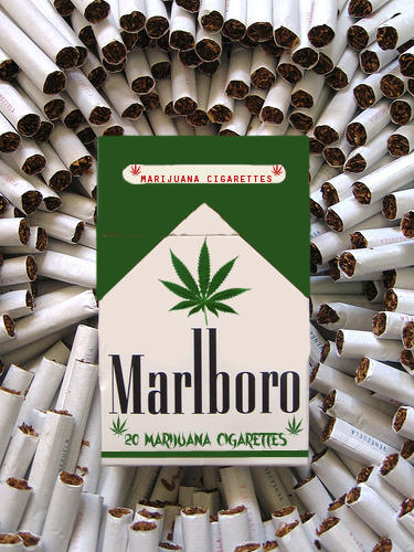 smoking cigarettes vs smoking weed Marijuana May Hurt Smokers More Than Cigarettes Alone smoking cigarettes vs smoking weed Marijuana May Hurt Smokers More Than Cigarettes Alone