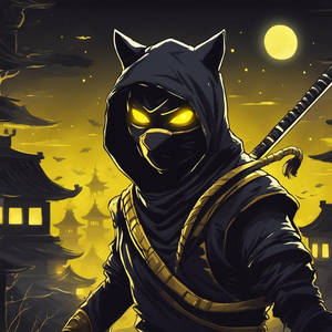 Ninja cat at night