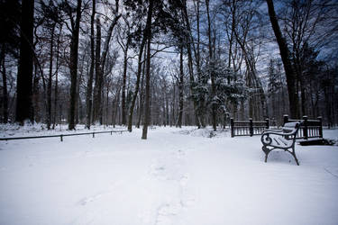 Winter in Maksimir Park XIV