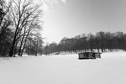 Winter in Maksimir Park XVI