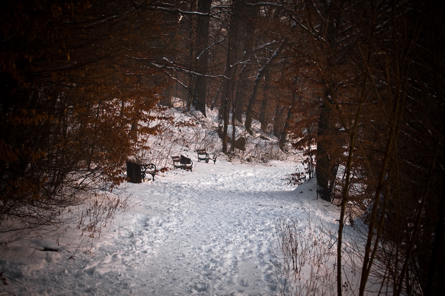 Winter in Maksimir Park XIX