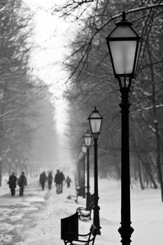 Winter in Maksimir Park XX