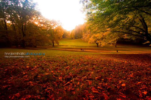 Autumn in Maksimir Park 09 I