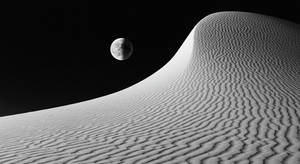 image fx - 2025-02-17T122753.264