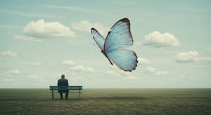 Image Fx (81)