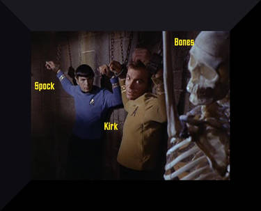 spock kirk bones