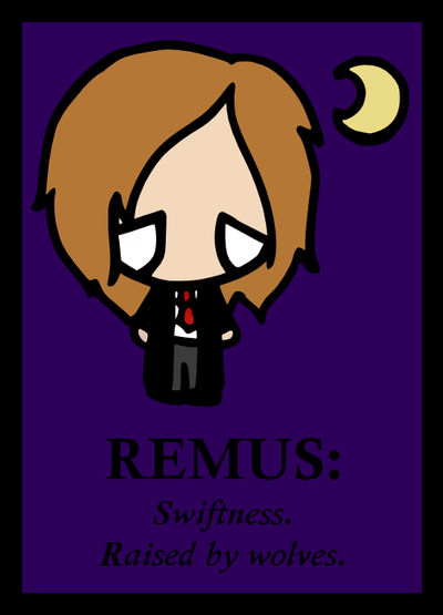 Remus Raccoon Character Collab - Remus 1 by bewarethepossums on DeviantArt