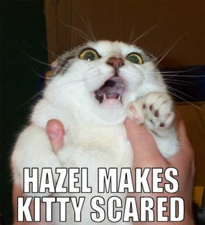 Hazel Makes Kitty Scared