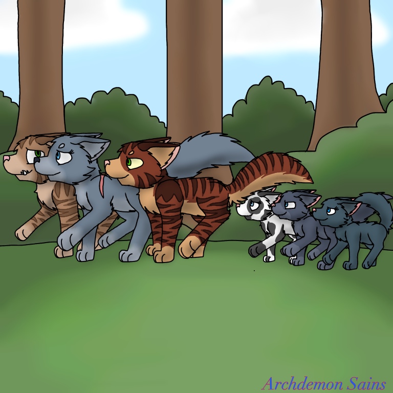 Bluestar Warriors Design by Solarizing on DeviantArt