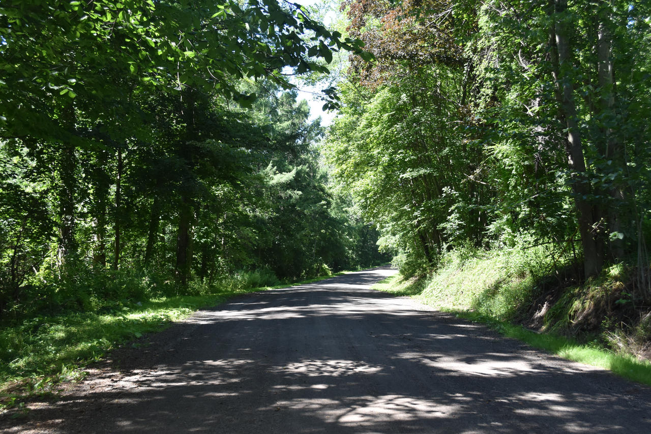 Short Road Short country road in the sun. by DDBdragon on DeviantArt