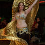 Wings of gold Bellydancer