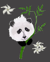 Panda with the Eucalyptus